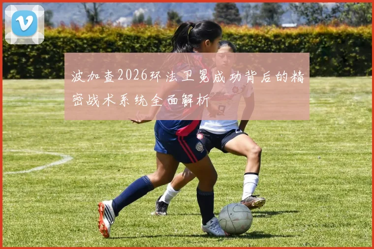 波加查2026环法卫冕成功背后的精密战术系统全面解析